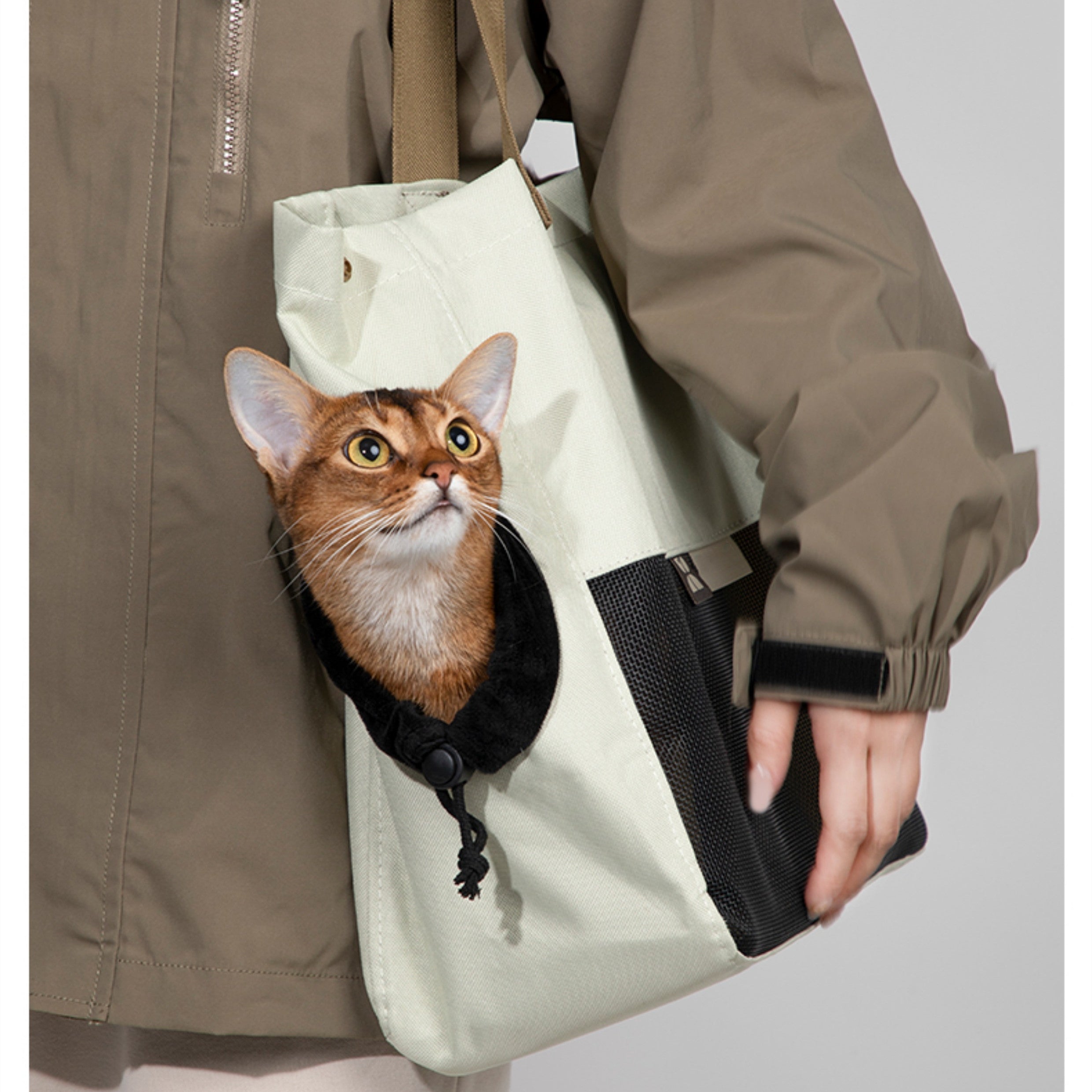 Canvas Shoulder Cat Carrier Tote