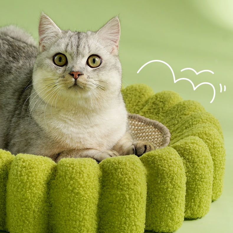 Plush Cactus Cat Bed with Scratcher Pad