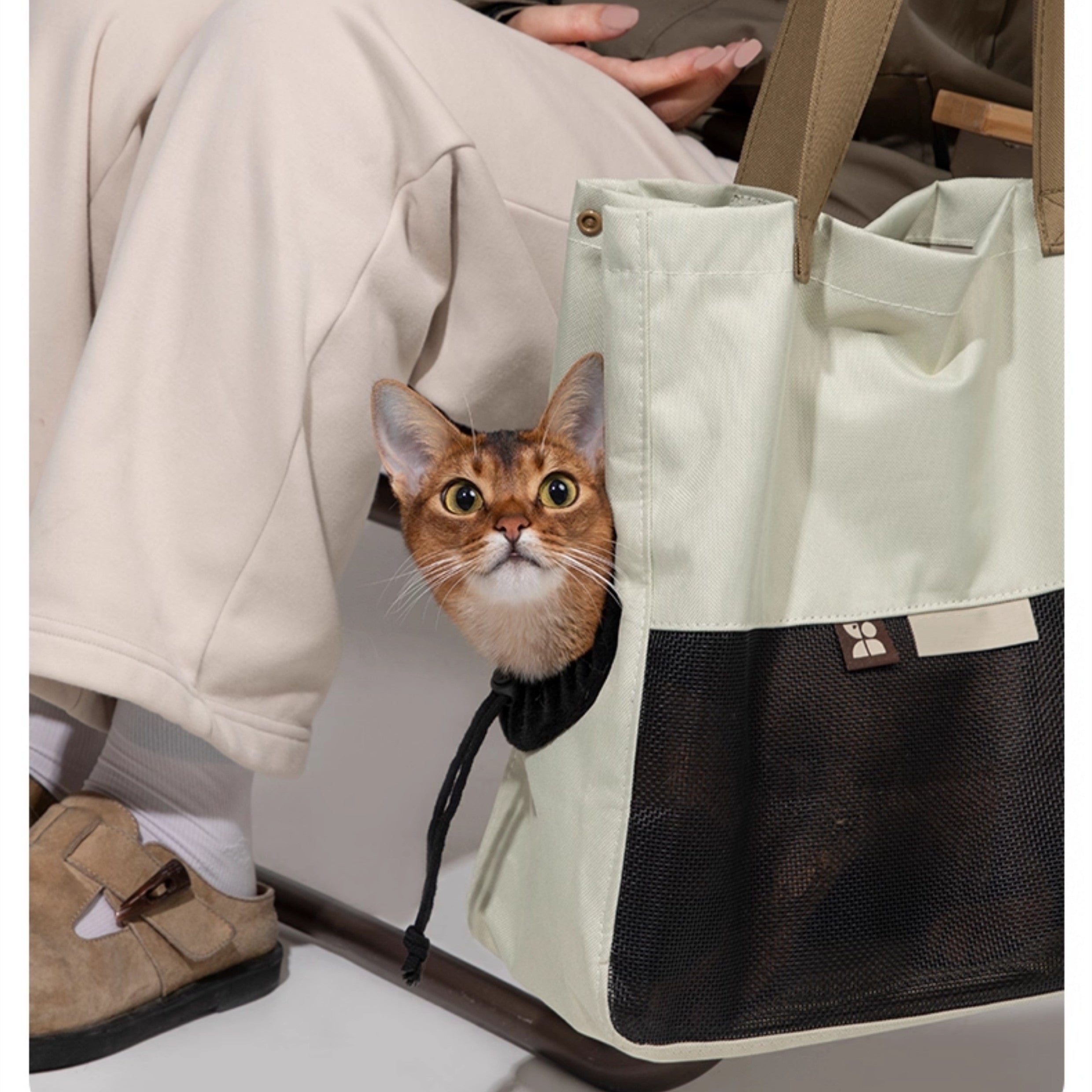 Canvas Shoulder Cat Carrier Tote
