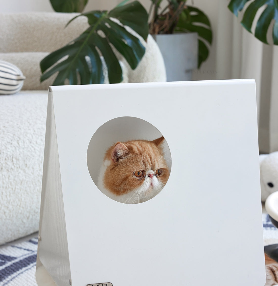 TriPod Cat House