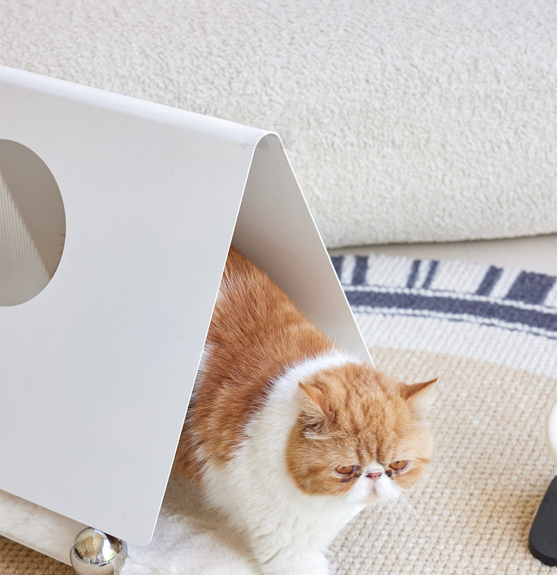 TriPod Cat House