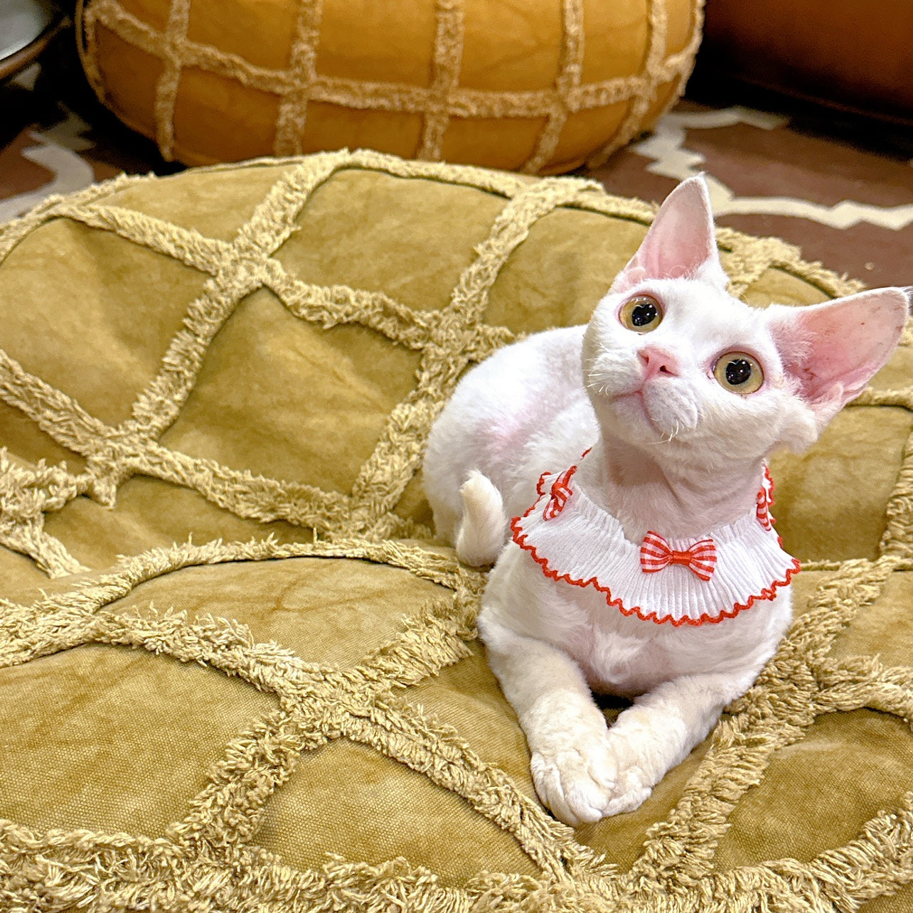 Summer Bow Cat Scarf Bib