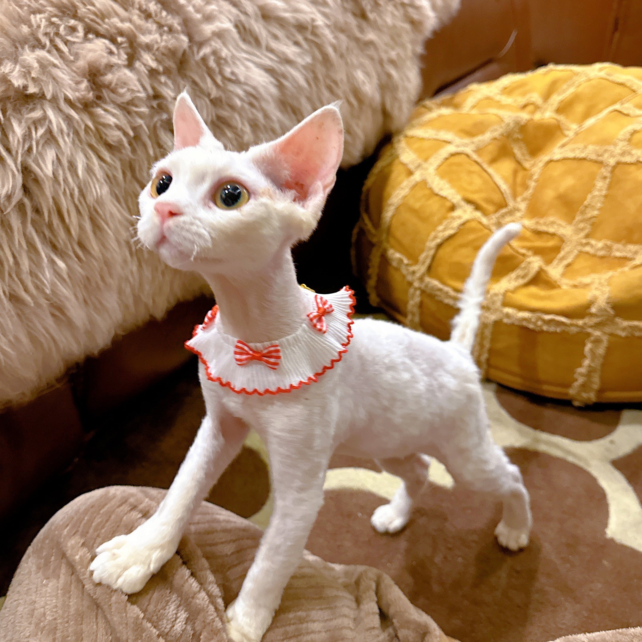 Summer Bow Cat Scarf Bib