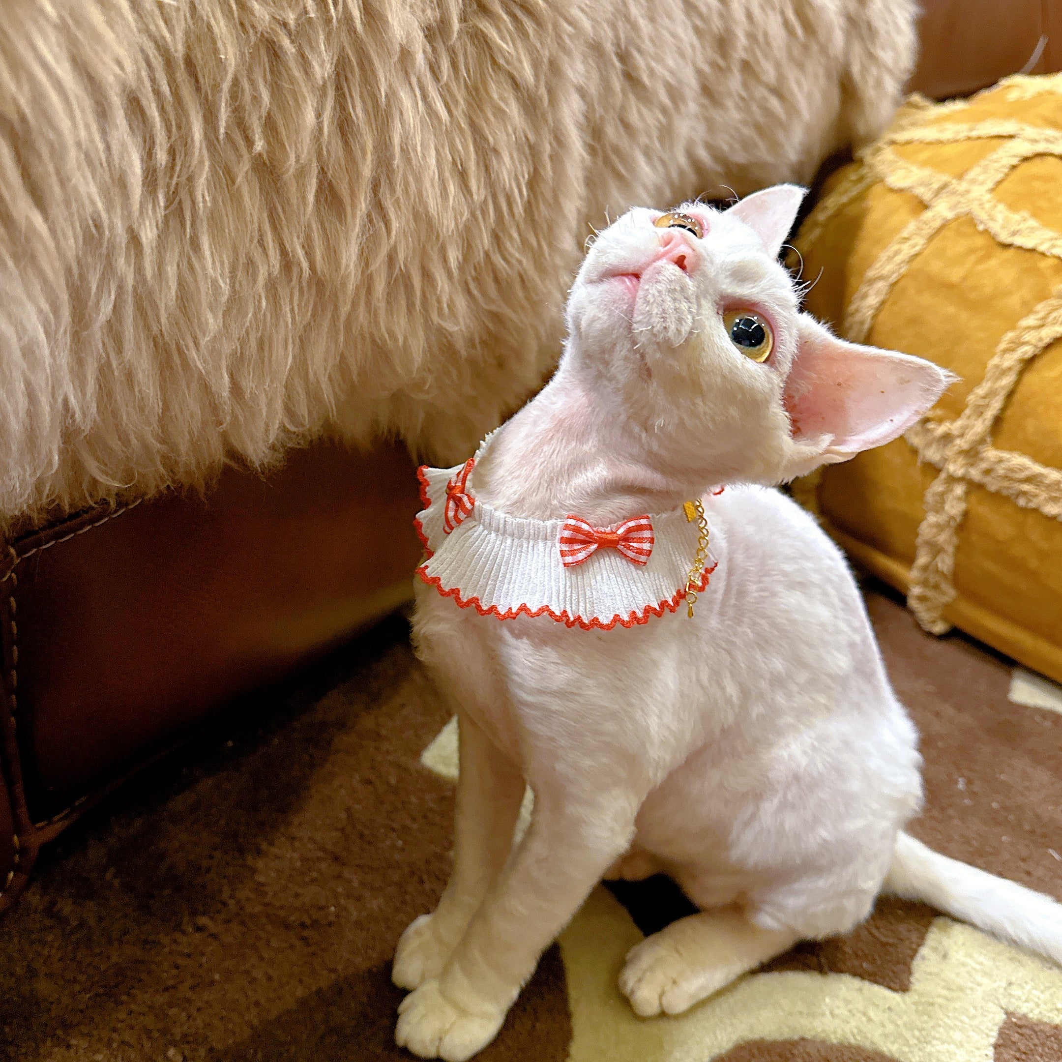 Summer Bow Cat Scarf Bib
