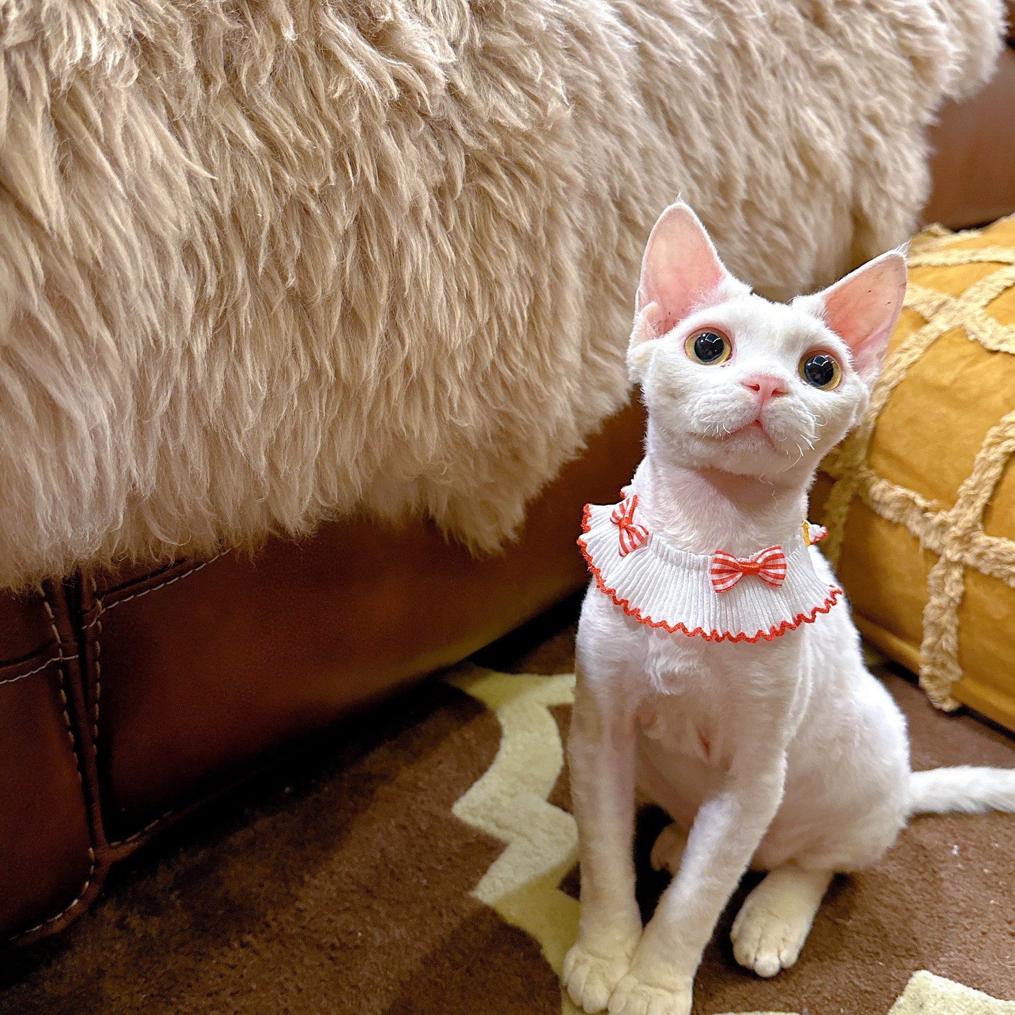 Summer Bow Cat Scarf Bib