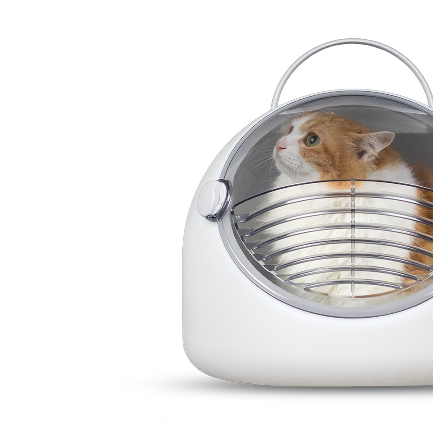 Space Capsule Cat Carrier & Lounge Pod