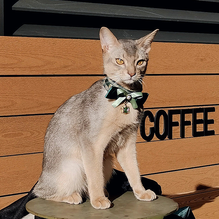 Slytherin Limited Edition Cat Collar