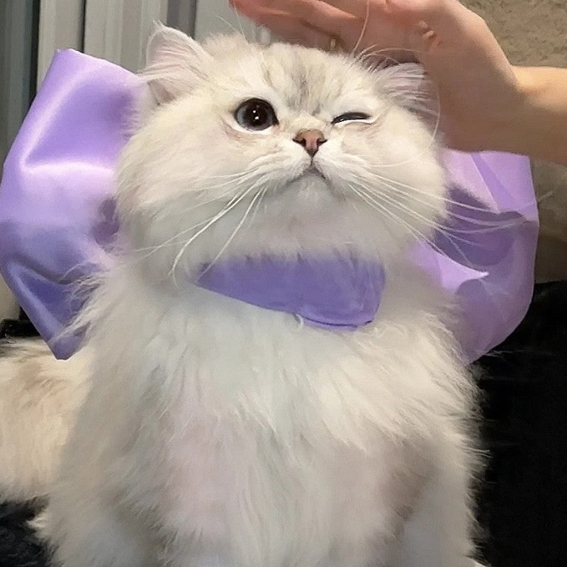 Cat Bow Collar – Elegant Satin Ribbon