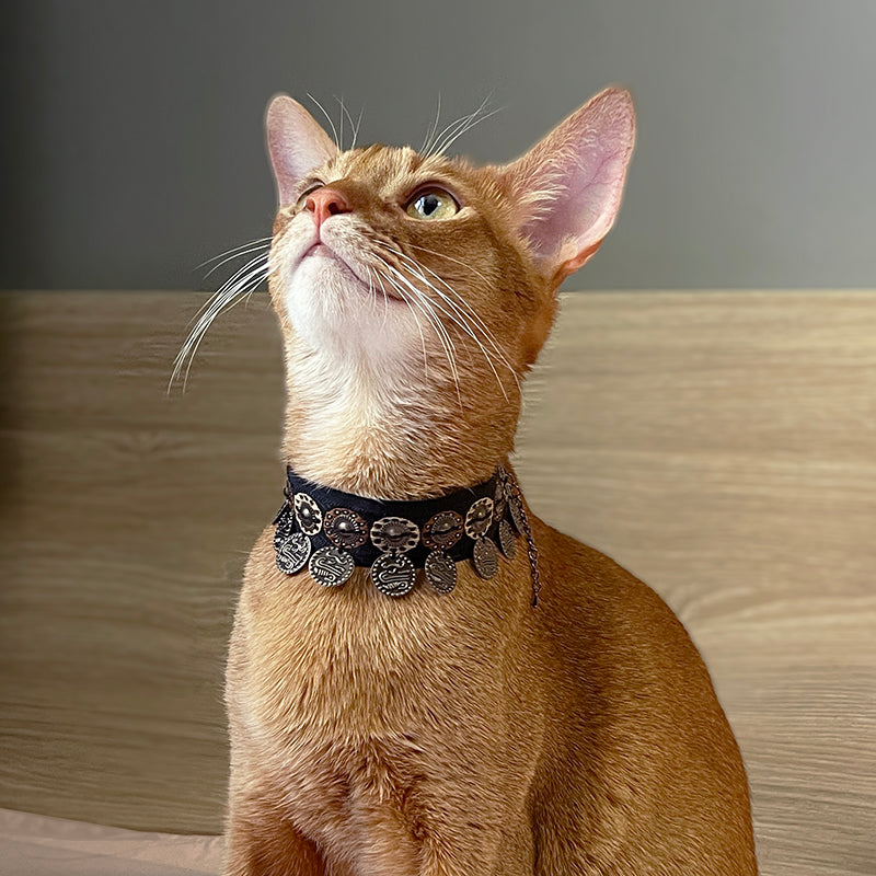 Sunset Cat Necklace